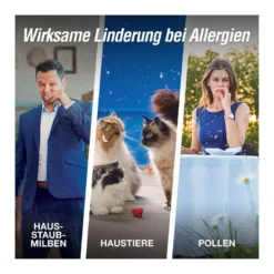Allergodil akut Nasenspray, 10 ml