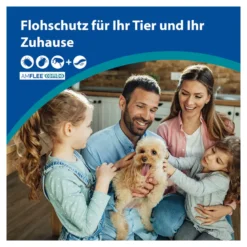Amflee combo Lösung zum Auftragen für Hunde 10-20 kg, 3 St