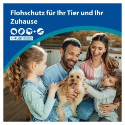 Amflee combo 268/241,2 mg Lsg.z.Auftr. für Hunde 20-40 kg, 3 St