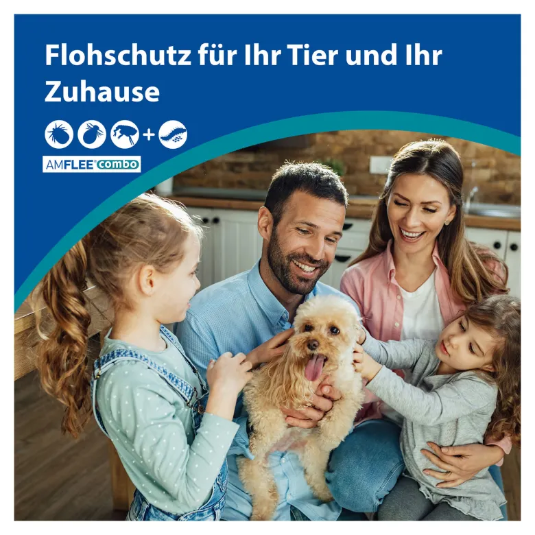 Amflee combo 268/241,2 mg Lsg.z.Auftr. für Hunde 20-40 kg, 3 St