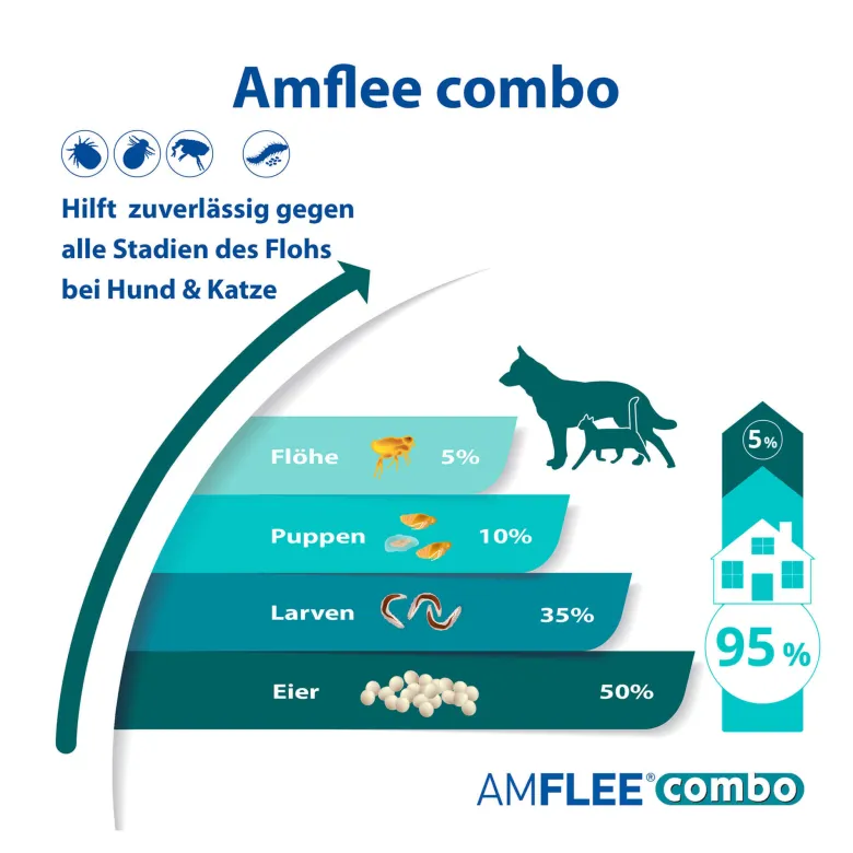 Amflee combo 268/241,2 mg Lsg.z.Auftr. für Hunde 20-40 kg, 3 St