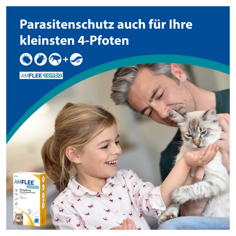Amflee combo 50/60 mg Lsg. zum Auftropfen für Katzen, 3 St