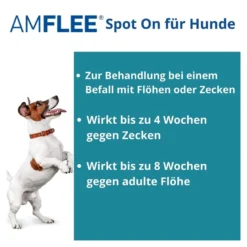 Amflee 67 mg Lösung zum Auftropfen für Kleine Hunde, 3 St