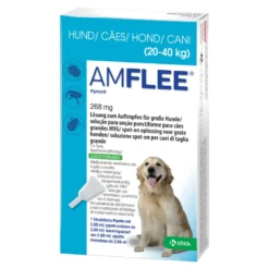 Amflee 268 mg Lösung zum Auftropfen für Große Hunde, 3 St