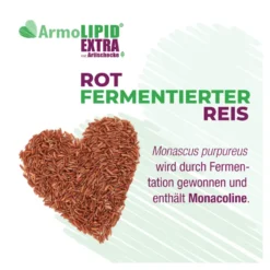 ArmoLIPID Extra Tabletten, 60 St