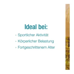 Arthri-Verlan Tabletten, 200 St