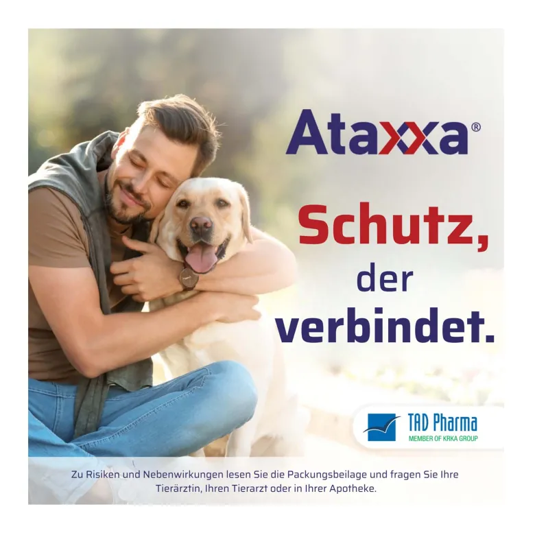 Ataxxa 500 mg/100 mg Lösung zum Auftropfen für Hunde 4-10 kg, 3 St