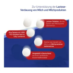 Avitale Lactase 3500 FCC, 100 St