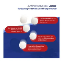 Avitale Lactase 28.000 FCC Tabletten im Spender, 80 St