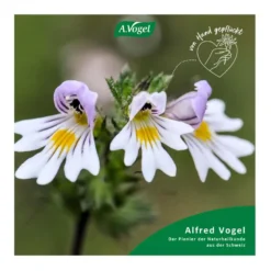 A.Vogel Augen Tropfen, 10 ml