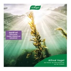 A.Vogel Kelp-Jod Meeresalgen Tabletten, 120 St