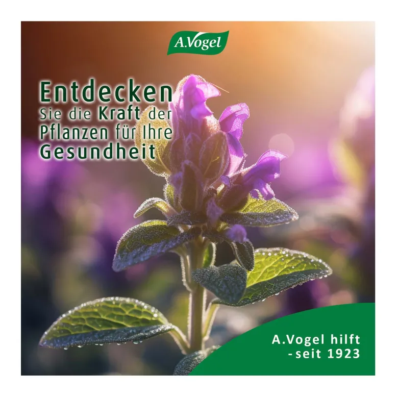 A.Vogel Menosan Salvia Tabletten, 30 St