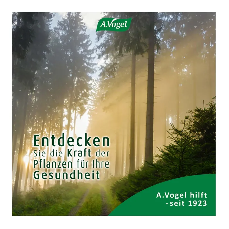 A.Vogel Santasapina Fichtenspitzen-Sirup, 200 ml
