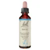 Bachblüte Beech, 20 ml