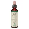 Bachblüte Centaury, 20 ml