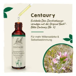 Bachblüte Centaury, 20 ml