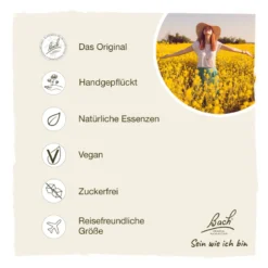 Bachblüte Centaury, 20 ml