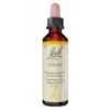 Bachblüte Cerato, 20 ml