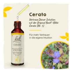 Bachblüte Cerato, 20 ml