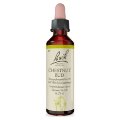 Bachblüte Chestnut Bud, 20 ml