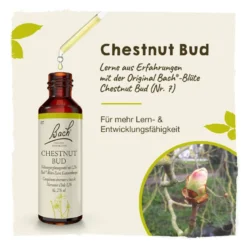Bachblüte Chestnut Bud, 20 ml