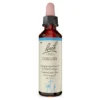 Bachblüte Chicory, 20 ml