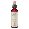 Bachblüte Elm, 20 ml