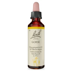 Bachblüte Gorse, 20 ml