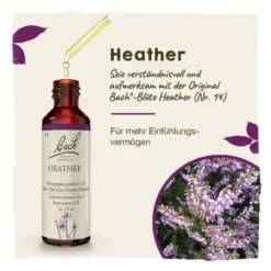 Bachblüte Heather, 20 ml
