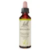 Bachblüte Honeysuckle, 20 ml