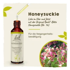 Bachblüte Honeysuckle, 20 ml