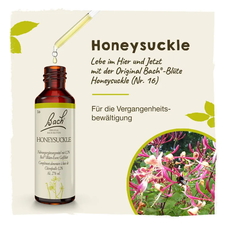 Bachblüte Honeysuckle, 20 ml