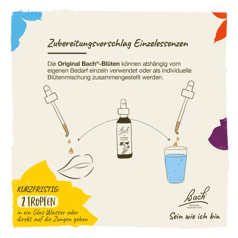 Bachblüte Honeysuckle, 20 ml