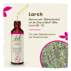 Bachblüte Larch, 20 ml