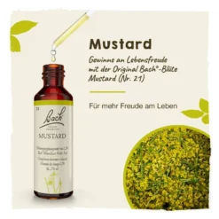 Bachblüte Mustard, 20 ml