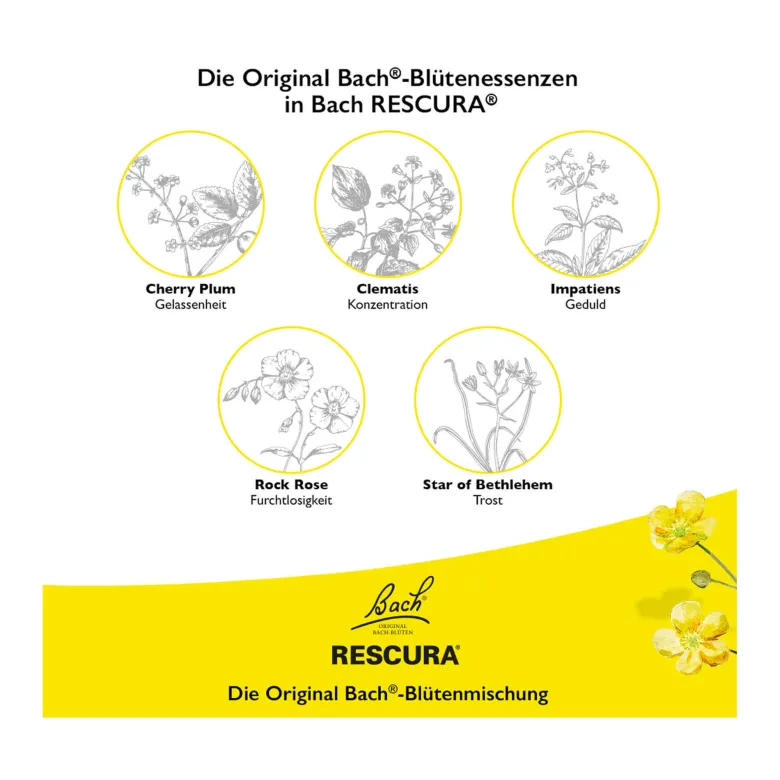 Bachblüten Original Rescura Kids Tropfen Erdbeer alkoholfrei, 10 ml