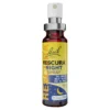 Bachblüten Original Rescura Night Spray mit Alkohol, 20 ml
