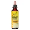 Bachblüten Original Rescura Tropfen mit Alkohol, 20 ml