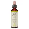 Bachblüte Olive, 20 ml