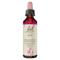 Bachblüte Pine, 20 ml