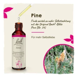 Bachblüte Pine, 20 ml