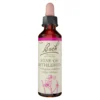 Bachblüte Star of Bethlehem, 20 ml