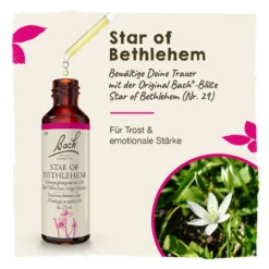 Bachblüte Star of Bethlehem, 20 ml