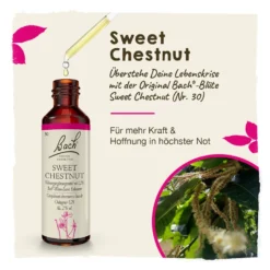 Bachblüte Sweet Chestnut, 20 ml