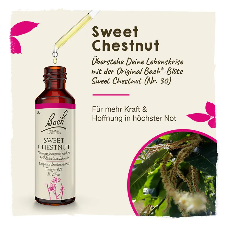 Bachblüte Sweet Chestnut, 20 ml