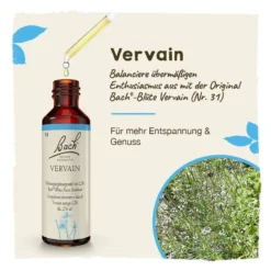 Bachblüte Vervain, 20 ml