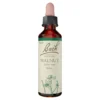 Bachblüte Walnut, 20 ml