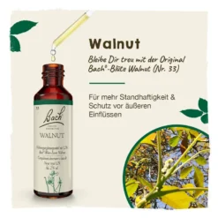 Bachblüte Walnut, 20 ml