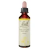 Bachblüte Wild Oat, 20 ml