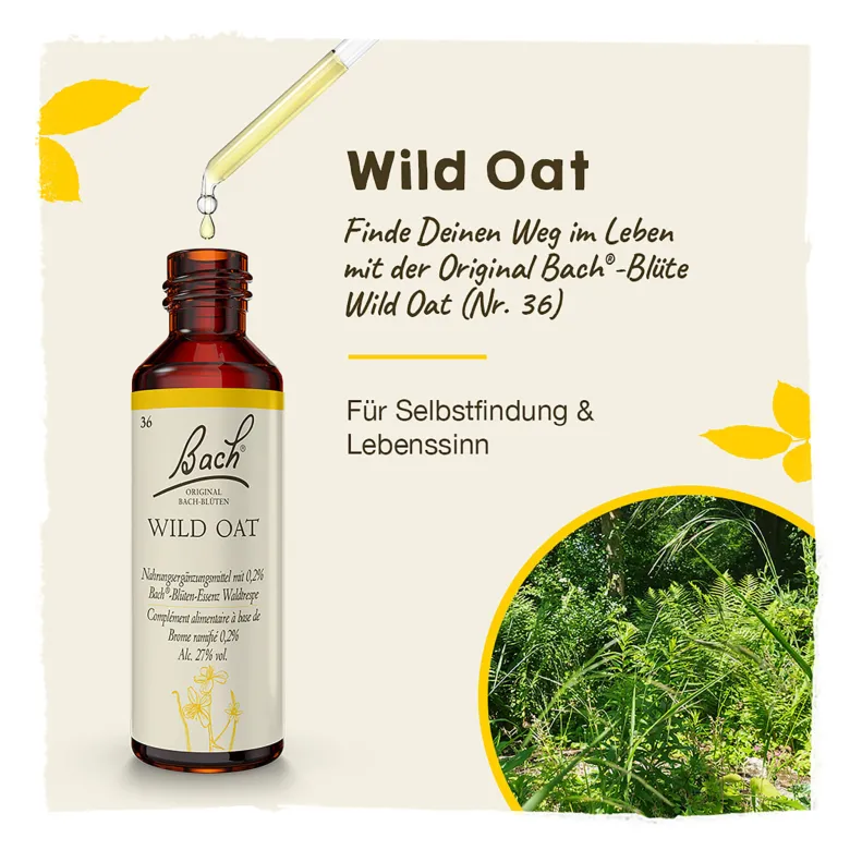 Bachblüte Wild Oat, 20 ml